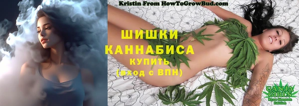 бутират Арсеньев