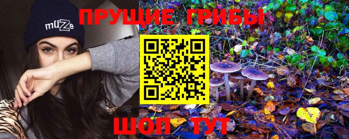 Галлюциногенные грибы Psilocybe  Псилоцибиновые грибы Magic Shrooms  Новомосковск  Вход с VPN 