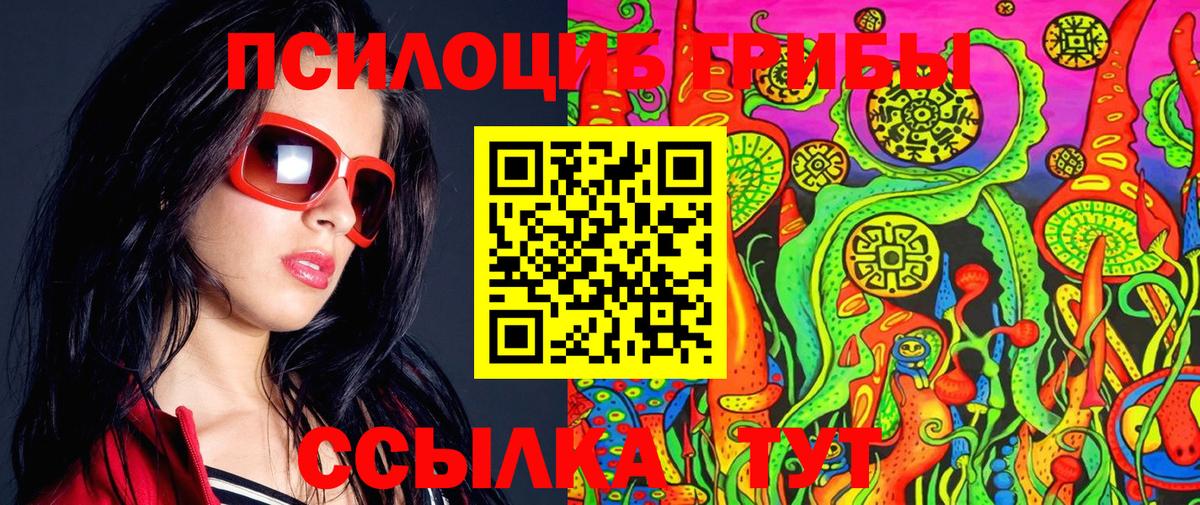 Галлюциногенные грибы Psilocybine cubensis Новомосковск